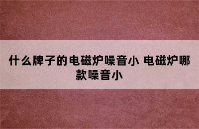 什么牌子的电磁炉噪音小 电磁炉哪款噪音小